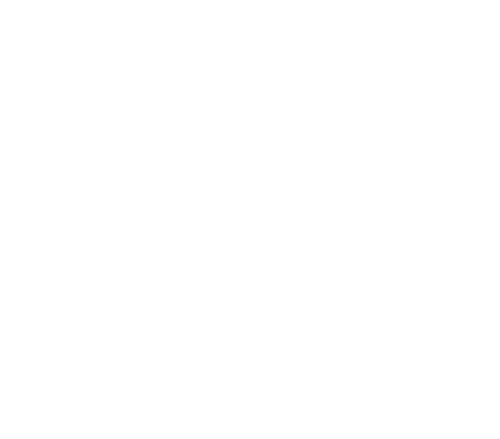 RC Bonzai