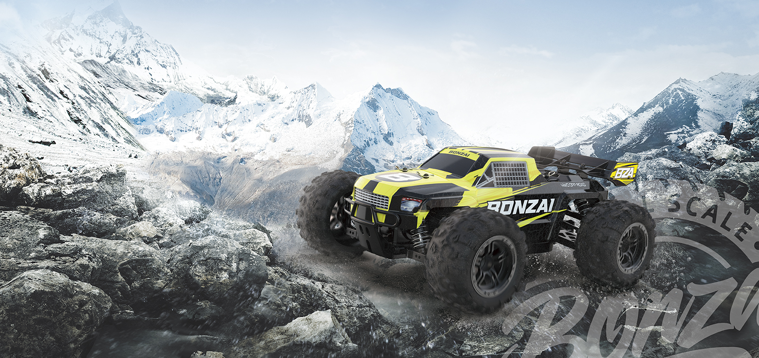 RC Bonzai  Remote control cars for the whole family